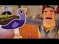 №1219: ОБУСТРОЙКА И ГОЛУБЯТНЯ В ПРИВЕТ СОСДЕД - HELLO NEIGHBOR