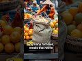 Nigeria's Food Prices: A Daily Struggle