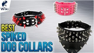 10 Best Spiked Dog Collars 2018