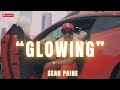 Sean Paine Glowing Official Video Sean Paine Glowing Official Video