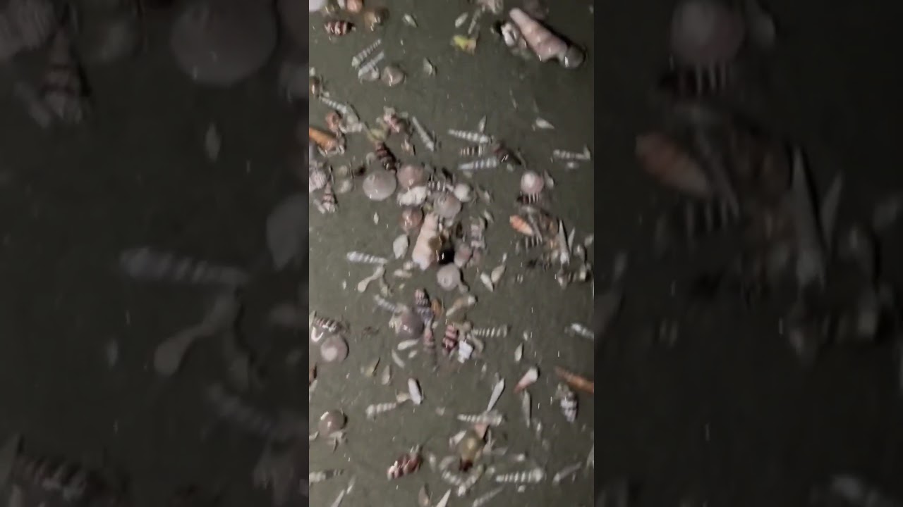 Awesome Asian Fishing （215）🐟 Primitive Rural Fishing Techniques 🐟 