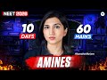 Amines One Shot LIVE | 10-Day Chemistry Sprint | NEET 2026 | Akansha Karnwal