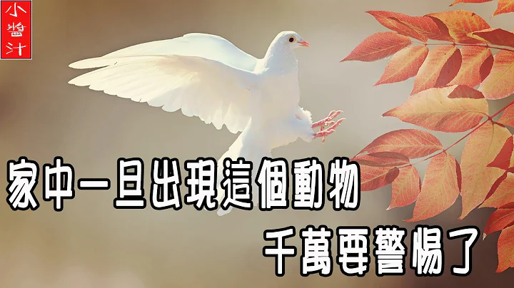 【禍福】家中一旦出現這個動物，一定要提高警惕，要出大事啦！ - 天天要聞