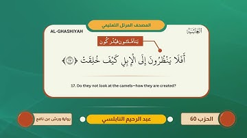88 سورة الغاشية مترجم الإنجليزية -