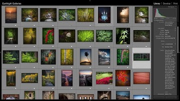 Lightroom Flags, Stars, and Color Labels