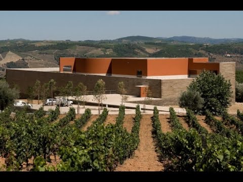 Alvaro Siza Bodegas quinta do portal