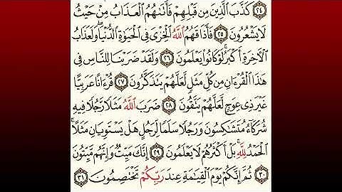 TAFSIIRKA:◇:سورة الزمر من ٢٥-٣١:◇:SH:-MAXAMAD CABDI UMAL حفظه الله