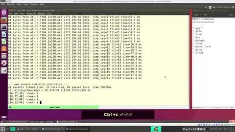 21 - Other Commands: wget, date, time, who, whoami, find, more, less, ping, clear