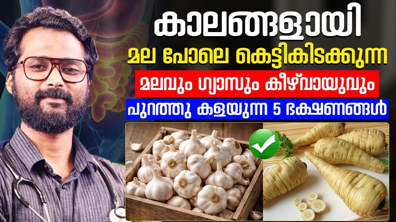 വയറ്റിലെ മലവും ഗ്യാസും മുഴുവൻ പുറത്തു കളയുന്ന 5 ഭക്ഷണങ്ങൾ? ¦ vaytttil
