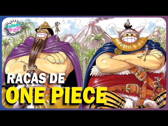 Raças ] - One Piece