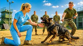 Details SEALs Couldn't Calm the K9 — Until a Nurse Whispered “Ranger” and Everything Changed Guide