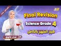مراجعه ساينس رابعه ابتدائي الترم الاول ساينس الصف الرابع الابتدائي الترم الاول 2026 