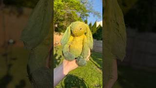 I accidentally created a banana bunny jelly cat  #jellycat #banana #bunny #customized #diy