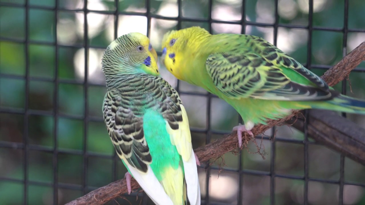 Sony A6400 With Sony E Mount 55 210mm F 4 5 6 3 Lens YouTube sony-a6400-with-sony-e-mount-55-210mm-f-4-5-6-3-lens-youtube