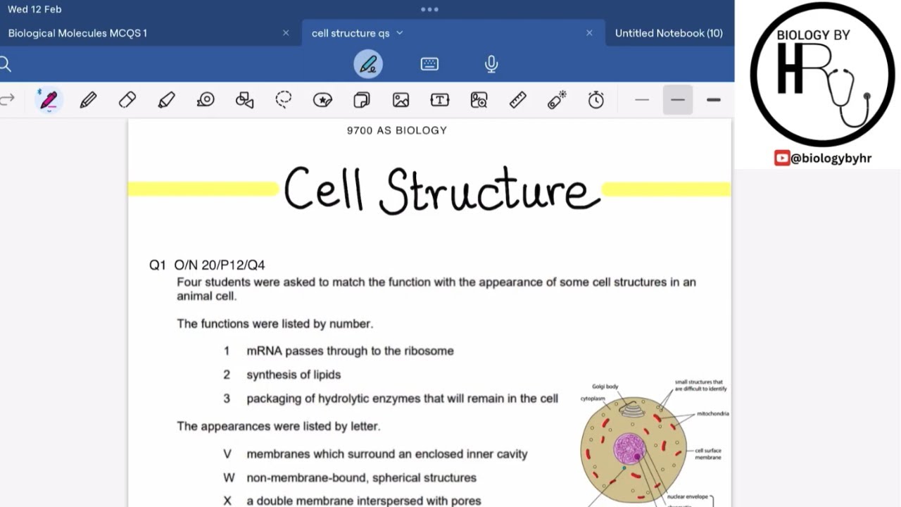 Cell Structure | Topical MCQs Paper 1 | Part 3 | AS BIOLOGY | 9700 ...