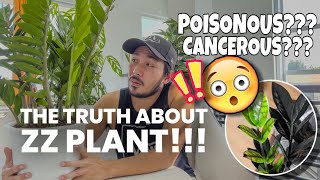 AMAZING BENEFITS OF ZZ PLANT! |EVERYTHING YOU NEED TO KNOW ABOUT ZZ PLANT!!