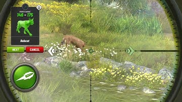 Hunting Clash Shooting Games Android Gameplay #androidgames #gaming #gameplay #android