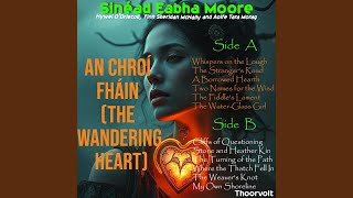 Stone och Heather Kin! (Att hitta en känsla av tillhörighet inte hos människor, utan hos de forntida irländska...