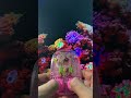 Pink Dragon Water Gamebot #gaming #squidgame #satisfyingvideo #satisfying #toys
