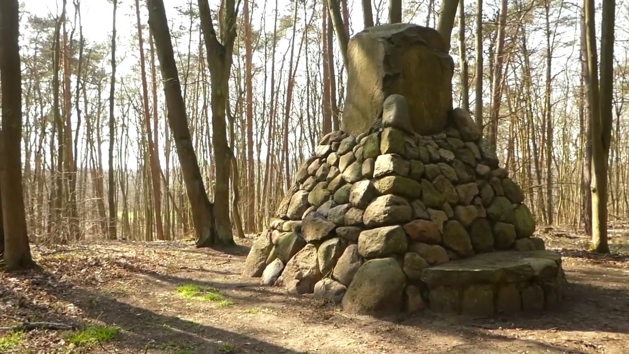 April 2020: SehensWert im Museum Angermünde - Feldbezug einer 
