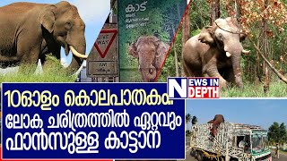 വില്ലനില്‍ നിന്ന് നായകനായ അരിക്കൊമ്പന്റെ കഥ  I  arikompan story