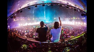 Dimitri Vegas & Like Mike vs Ummet Ozcan  -The Hum (LIVE Tomorrowland 2016) Resimi