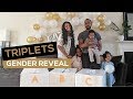 TRIPLETS GENDER REVEAL | This Byrds Nest