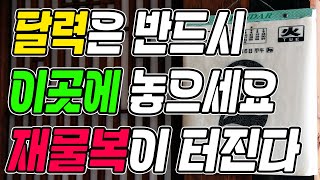집안에 달력은 반드시 이곳에 둬야 재물복이 터집니다ㅣ돈복 터지는 달력 풍수ㅣ달력을 두지 말아야 할 장소  (…