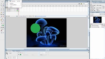 flash animation actionscript and masking