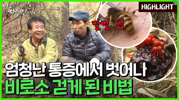 [자연인 하이라이트] 114 엄청난 다리 통증에 시달리던 자연인이 비로소 걸을 수 있게 된 사연?!