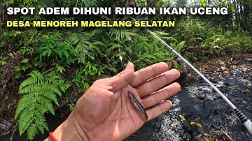 EXPLORING THE WADER AND UCENG FISHING SPOT IN MENOREH, SOUTH MAGELANG - the second spot where uce...