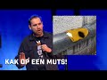 Xander de rycke  k op een muts uitgerust  immuun