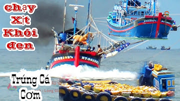 🔴 Cảnh Quay Ghe Trúng Cá Cơm Chạy Xịt Khói Đen Về Cảng Lagi