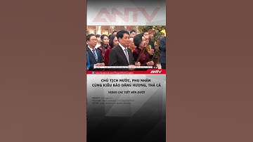 Chủ tịch nước, phu nhân và kiều bào thực hiện nghi lễ dâng hương, thả cá chép #antv #shorts #tintuc