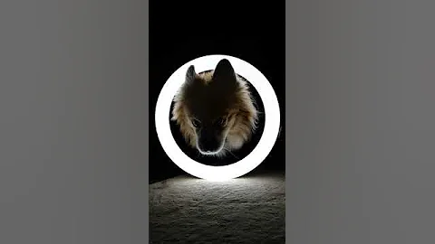 🔥Viral Ring Light Challenge Tik tok #Shorts