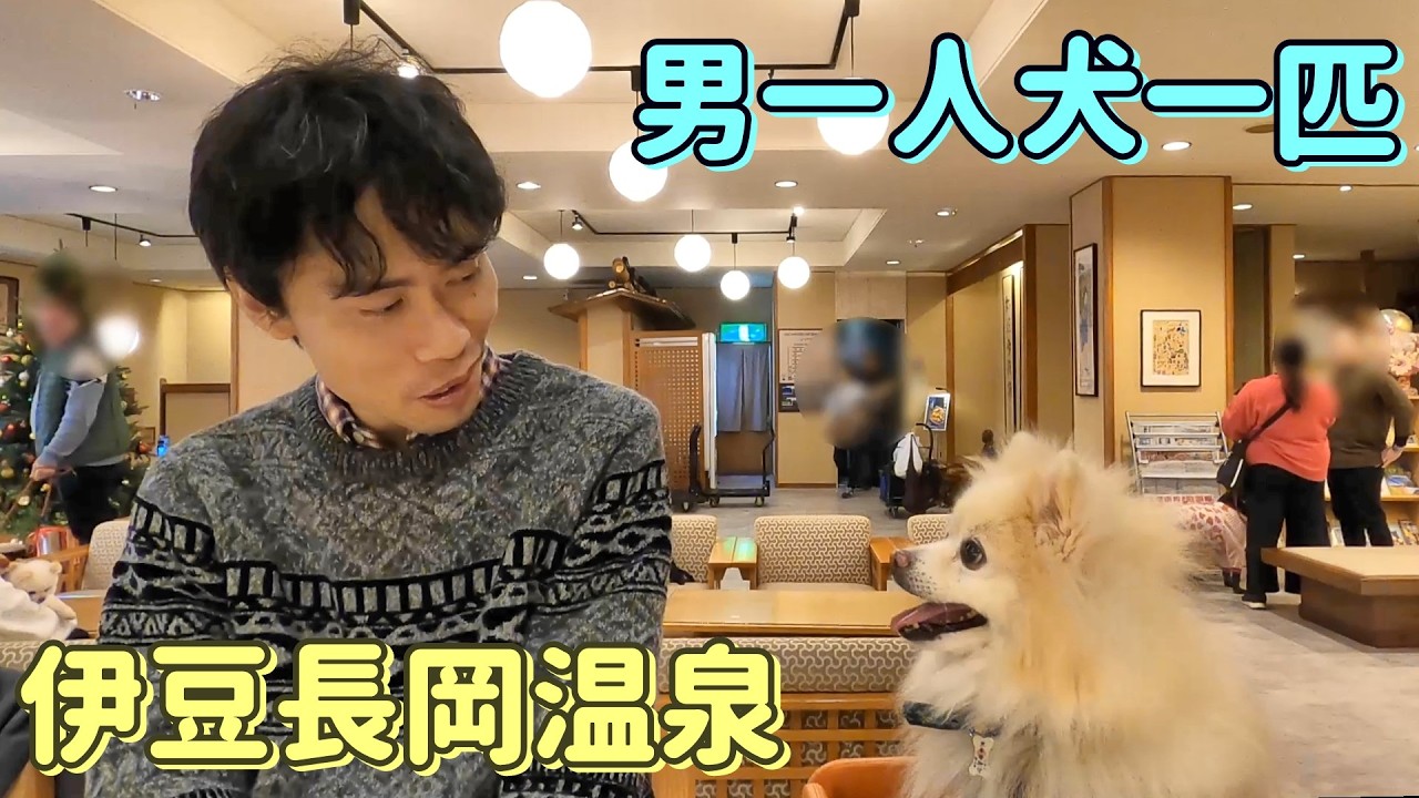 【犬連れ温泉旅行】伊豆長岡の温泉旅館、八の坊に訪れたポメのムツオさん。足湯に浸り、おやつを食べ、素晴らしいおもてなしをうける。。【伊豆長岡編】