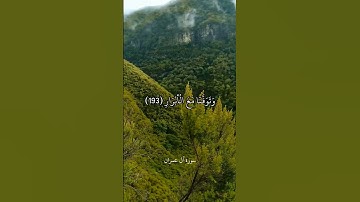 رَّبَّنَا إِنَّنَا سَمِعْنَا مُنَادِيًا يُنَادِي لِلْإِيمَانِ || سورة آل عمران || علي جابر