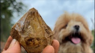 Details LIVE Crystal Digging in New York! Herkimer Diamonds 💎 Update