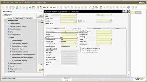 Simple Screen Adaption in SAP Business One 9.1