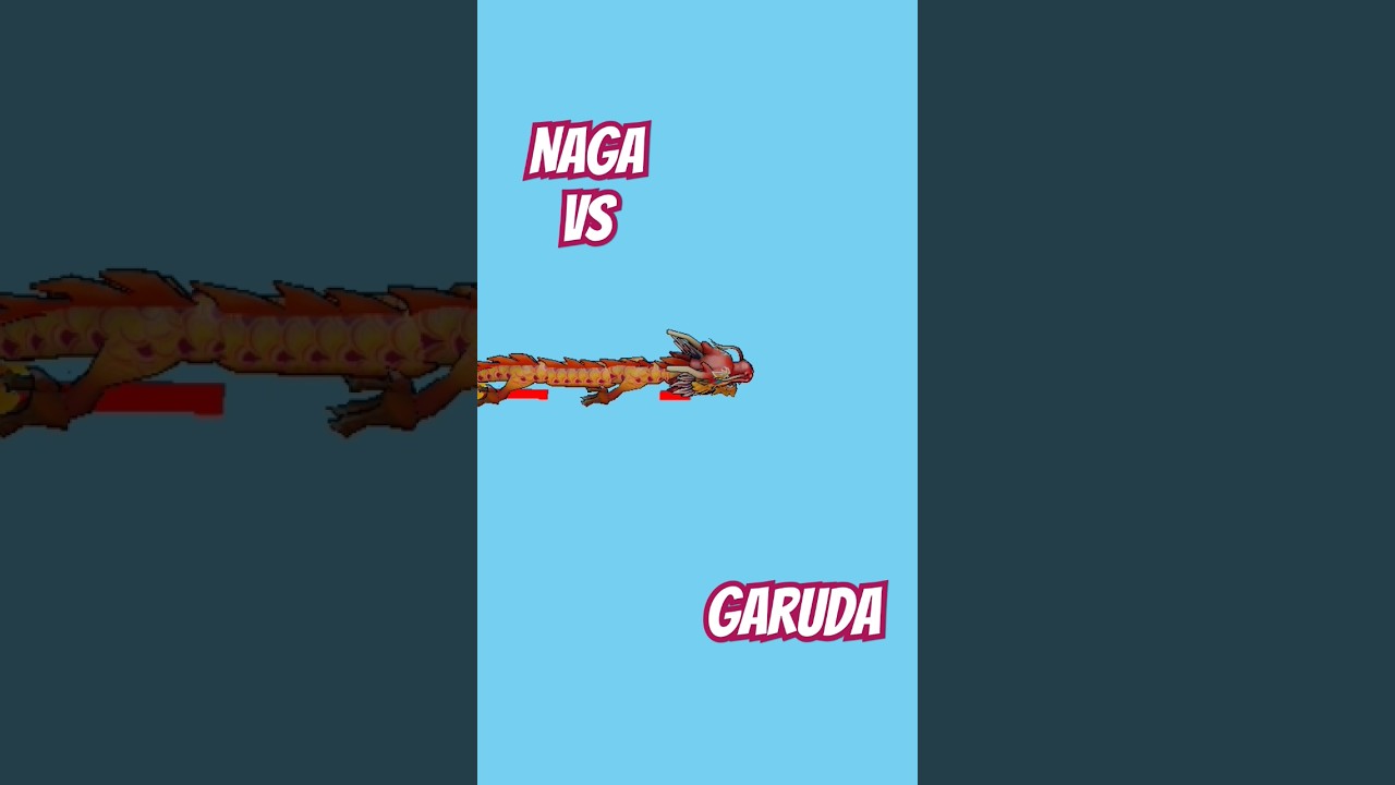 naga vs Garuda 
