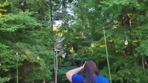 Something Massive Destroys Tree in North Carolina BIGFOOT SASQUATCH YETI