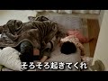 【隠し撮り】鬼嫁のモーニングルーティンを見てみよう
