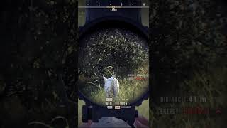 This Albino Mule Deer Wouldnt Die Woth2