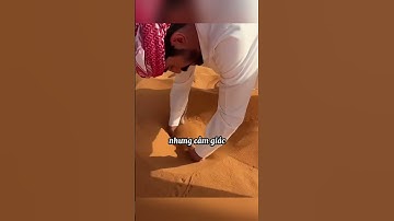 Sinh vật biết bơi trong cát giữa sa mạc #shorts