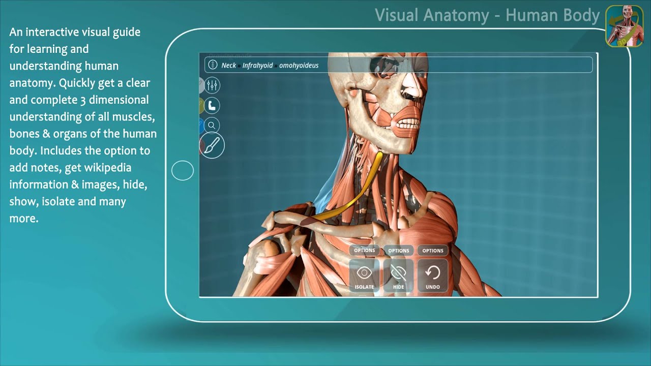 Visual Anatomy - Human Anatomy (app) - YouTube