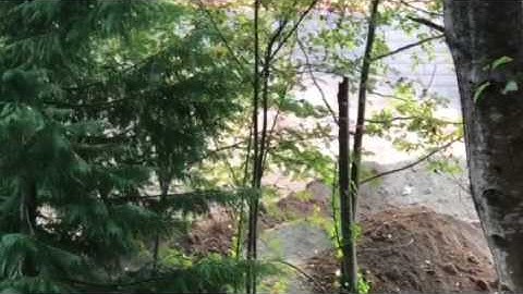 Peter Stevens (CST) drives our new dirt loop