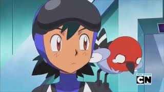 Fletchling being upset over not getting to battle Talonflame | Pokémon XY