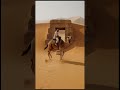 A camel🐫camera found THIS buried near the pyramids#shorts# #pyramid#CamelPOV#SaharaDiscovery
