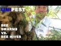 Bee Swarm Removal vs. Beehive Removal in Santa Clarita