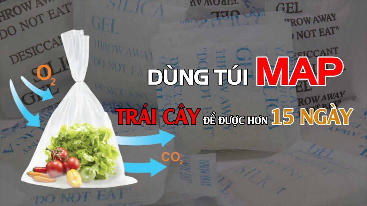 Túi GreenMAP Bảo Quản Rau Củ Quả Tươi - Cam Kết Chất Lượng